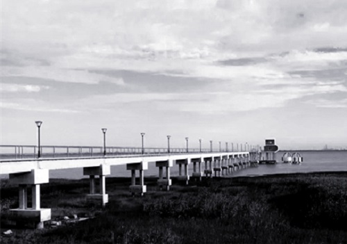 1644465285943816.jpg 1.jpg