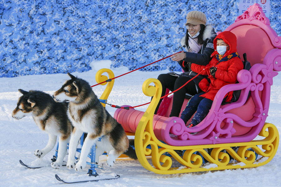 1644746675808997.jpg 《颐和冰雪季》-8.JPG