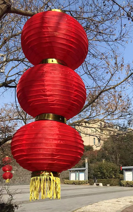 《大红灯笼高高挂》  梦秋   摄.jpg