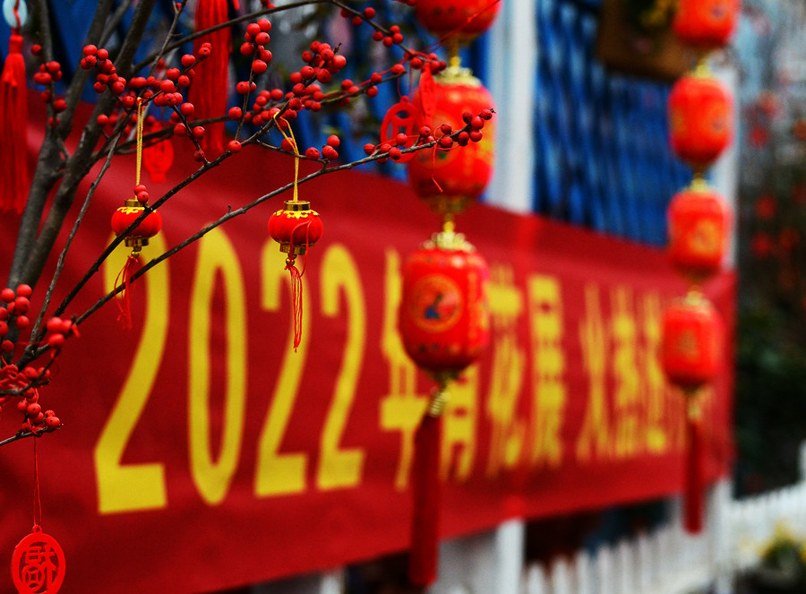 《花展》  沈林成   摄.jpg