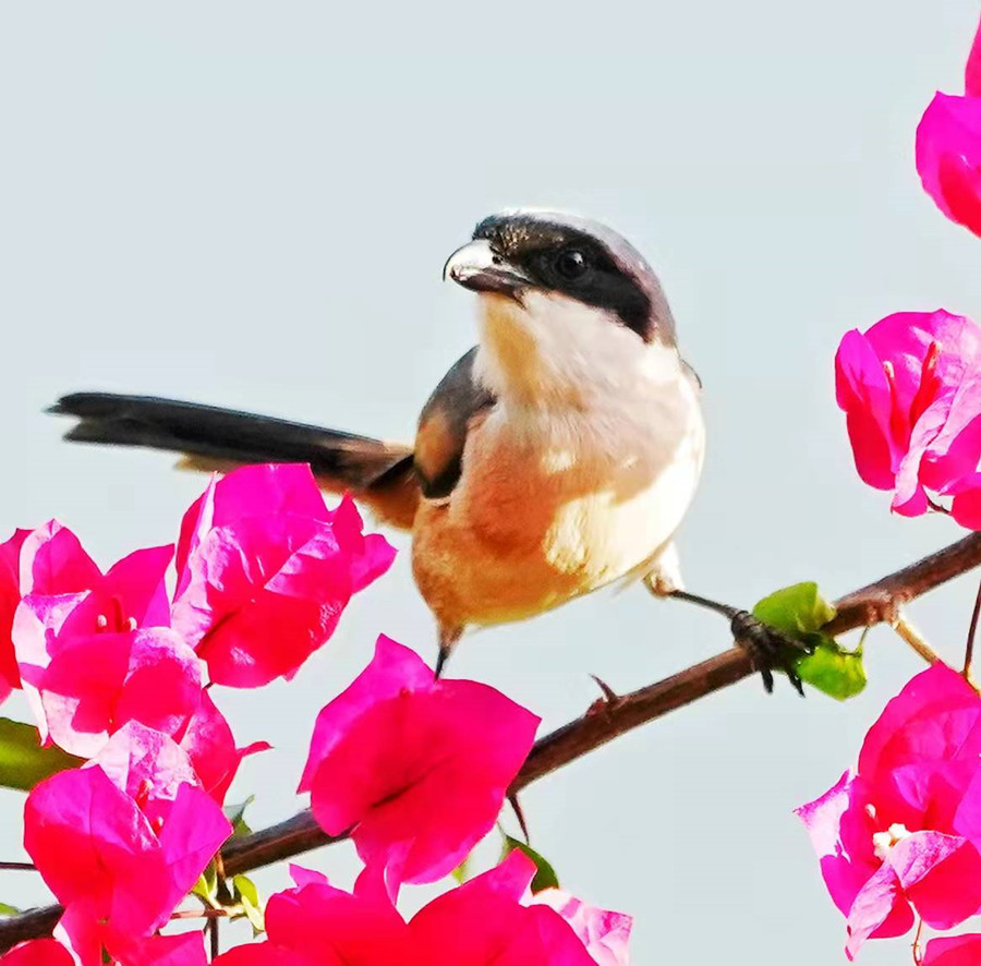 1648653900222560.jpg 微信图片_20220328225306.jpg