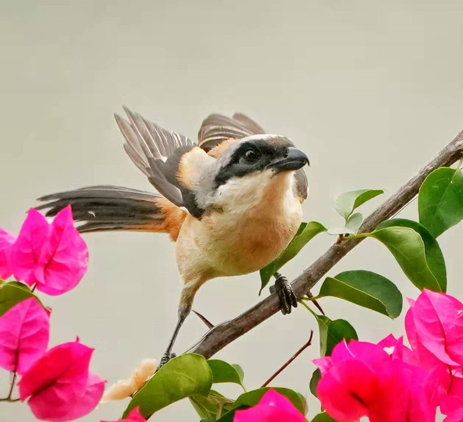 1648654471328934.jpg 微信图片_20220328225349.jpg