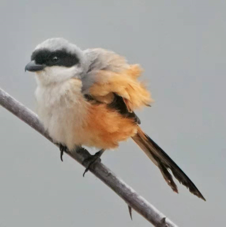 1648654489140989.jpg 微信图片_20220328225402.jpg