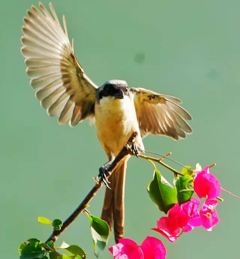 1648654572641948.jpg 微信图片_20220328225414.jpg