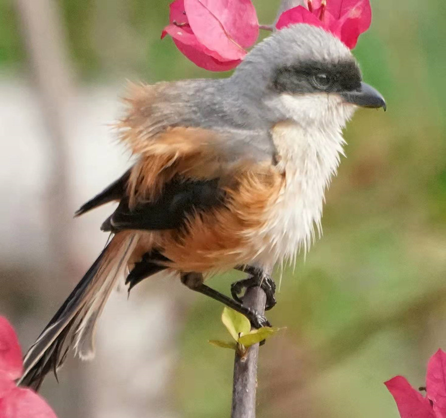 1648654630879913.jpg 微信图片_20220328230507.jpg