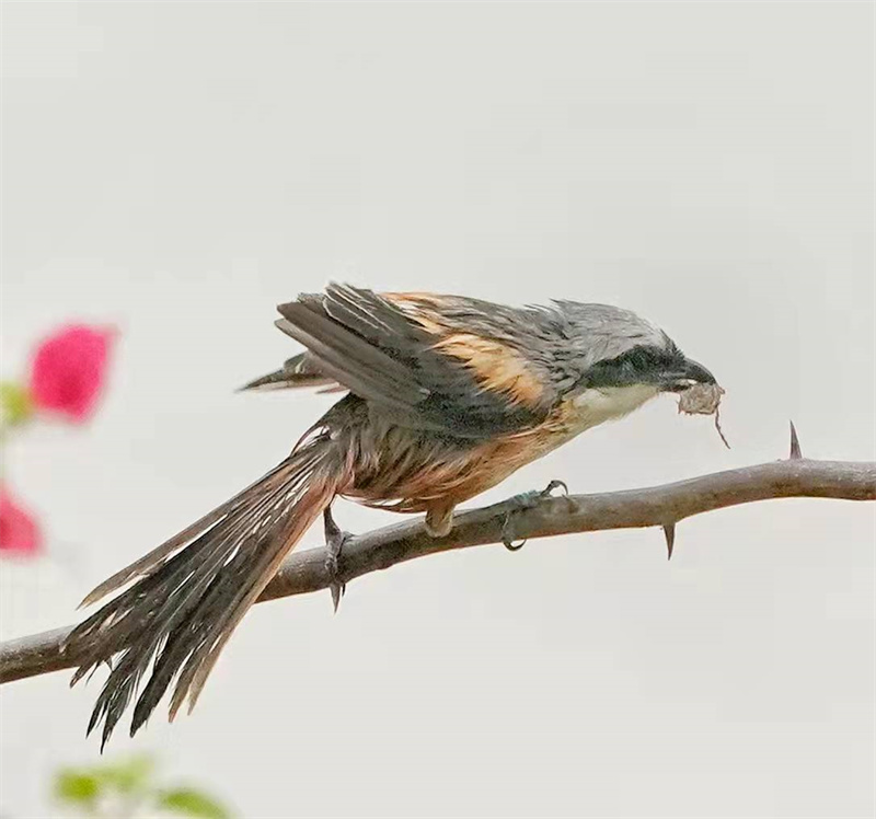 1648654703909691.jpg 微信图片_20220328230900.jpg