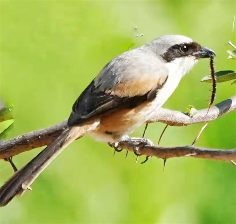 1648654722569740.jpg 微信图片_20220328230921.jpg