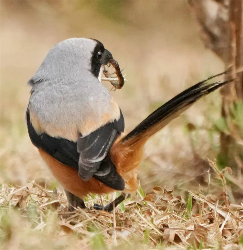 1648654774597367.jpg 微信图片_20220328230931.jpg