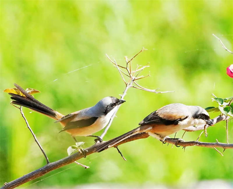 1648654835139349.jpg 微信图片_20220328230948.jpg