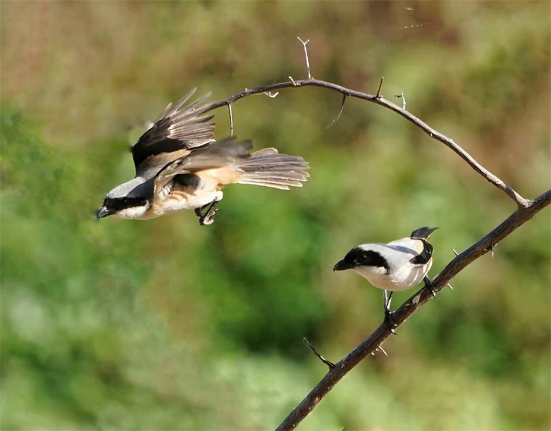 1648654863878752.jpg 微信图片_20220328230958.jpg