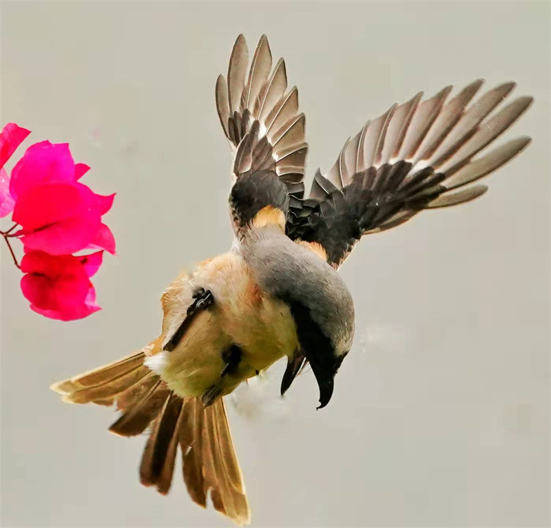 1648654986166791.jpg 微信图片_20220328230646.jpg