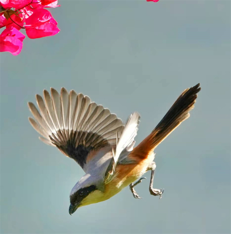 1648655007813644.jpg 微信图片_20220328230651.jpg