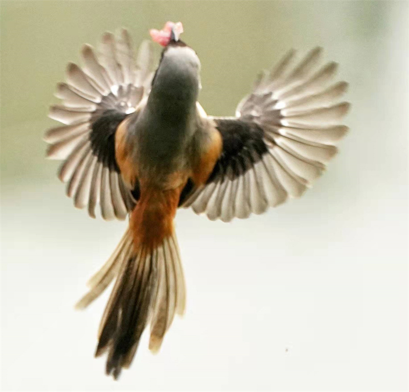 1648655085125338.jpg 微信图片_20220328230705.jpg