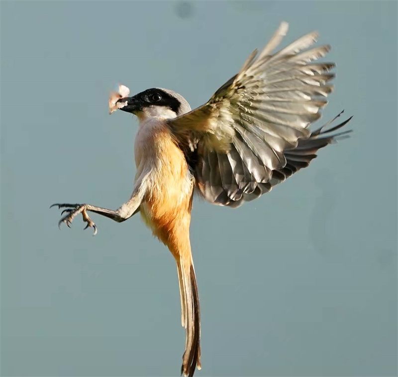 1648655122790665.jpg 微信图片_20220328230709.jpg