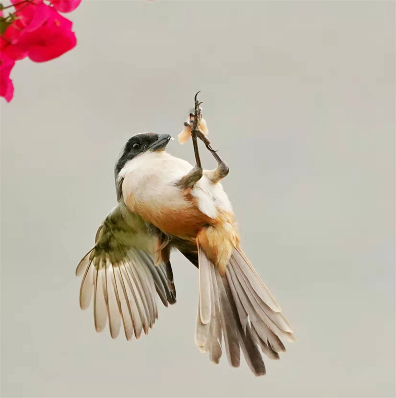 1648655155618753.jpg 微信图片_20220328230713.jpg