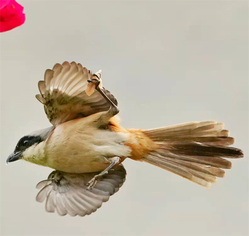 1648655232357034.jpg 微信图片_20220328230721 - 副本.jpg