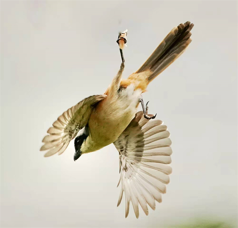 1648655264987880.jpg 微信图片_20220328230729.jpg