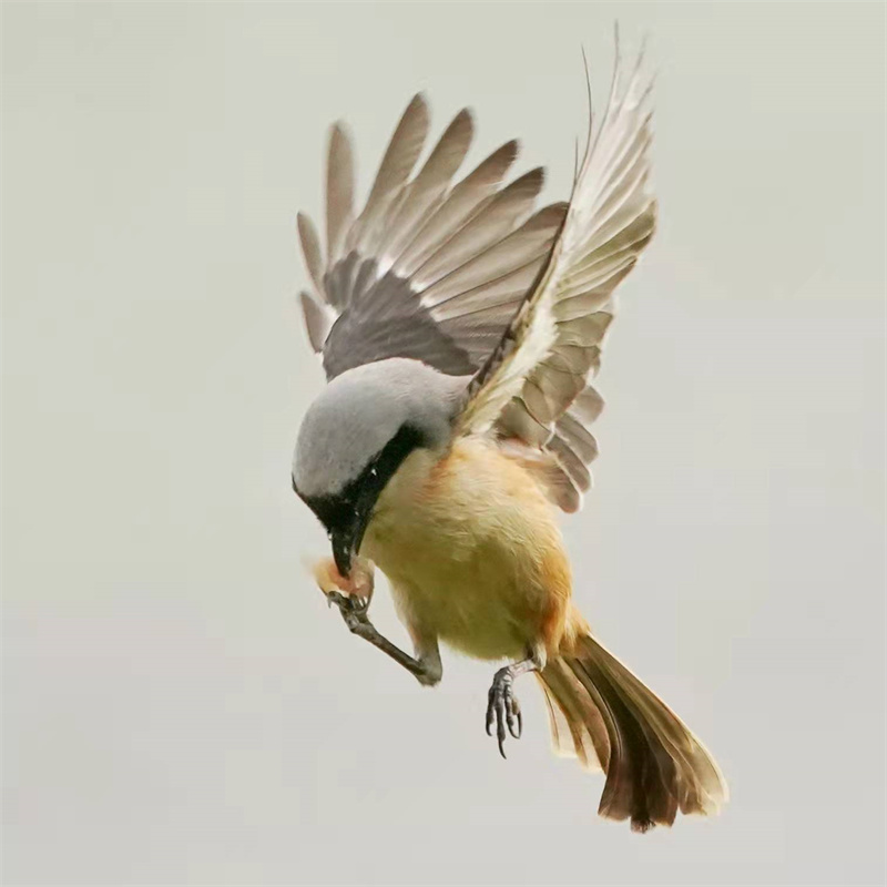 1648655279618753.jpg 微信图片_20220328230734.jpg