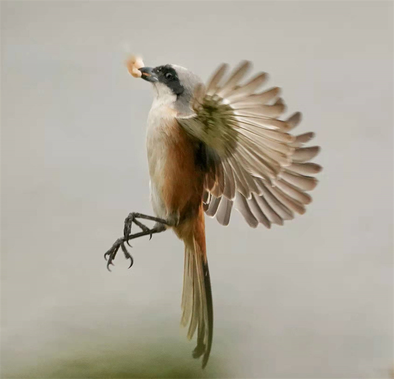 1648655292125145.jpg 微信图片_20220328230748.jpg