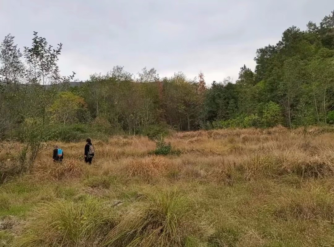 1651637779207198.jpg 1651637779207198.jpg