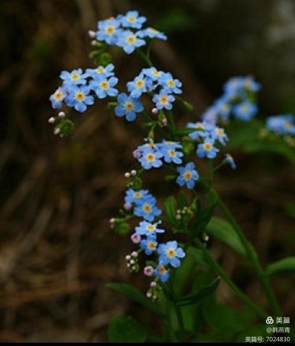 1651978676551753.jpg 1651970988868768.jpg