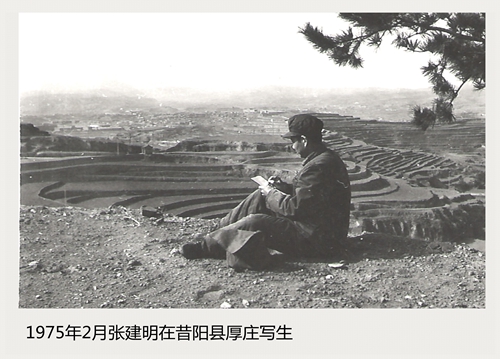 1653201262686313.jpg 1653201262686313.jpg