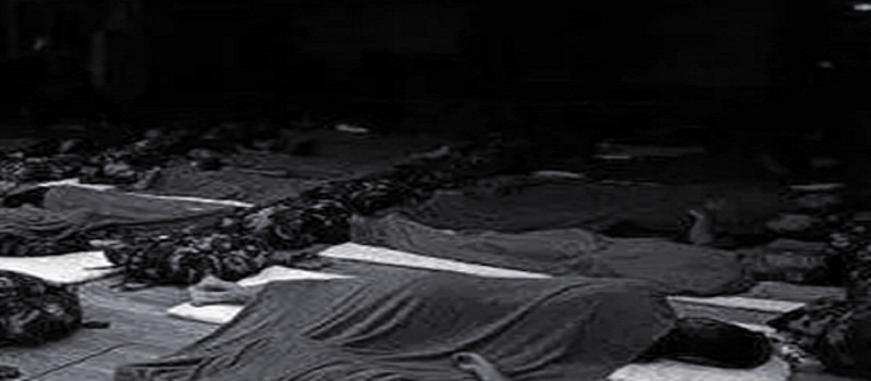 1653439476305611.jpg 1653360911638591.jpg