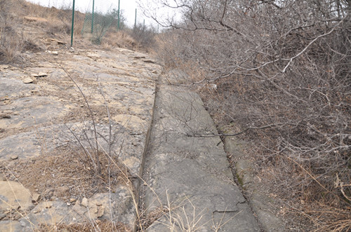 1654138881606532.jpg DSC_0822_副本.jpg