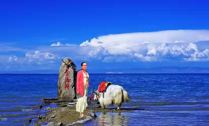 1655436796160336.jpg 鸿雁.jpg