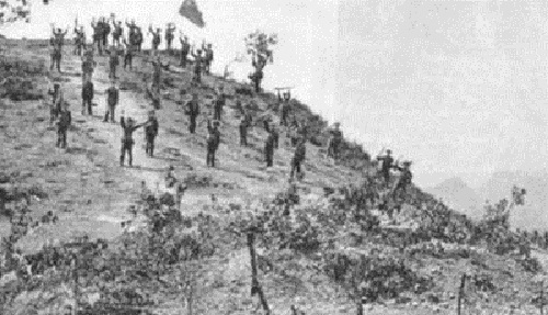 1656648602121629.jpg 3.jpg