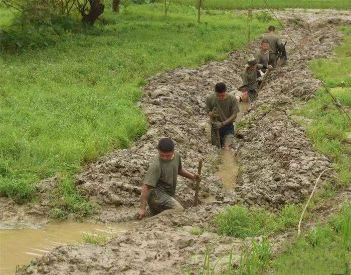 1656689934808007.jpg 1656689934808007.jpg