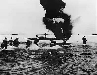 1657096438135687.jpg 1657096438135687.jpg