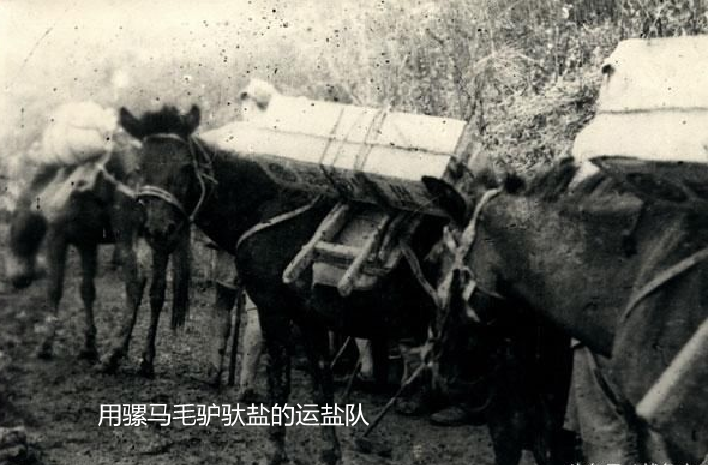 1657182348113844.png 1657182348113844.png