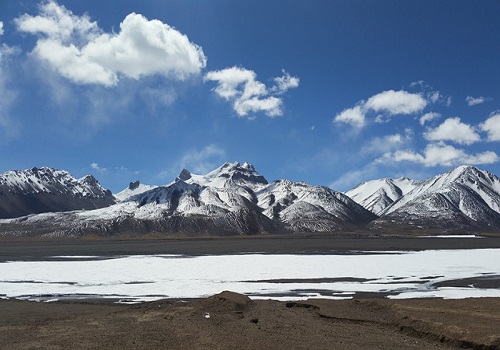 1657487153621809.jpg 3.jpg