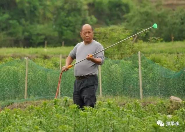 1657527904208962.jpeg 0d107ab332d3494d8641d136491ad72b_th.jpeg