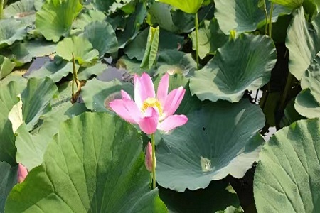 1657851155893985.jpg 1.jpg