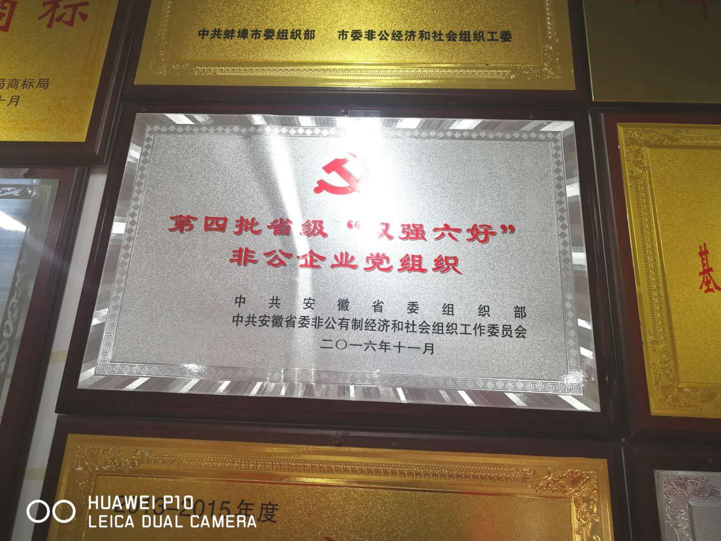 1659519027578734.jpg mmexport1659518725914.jpg