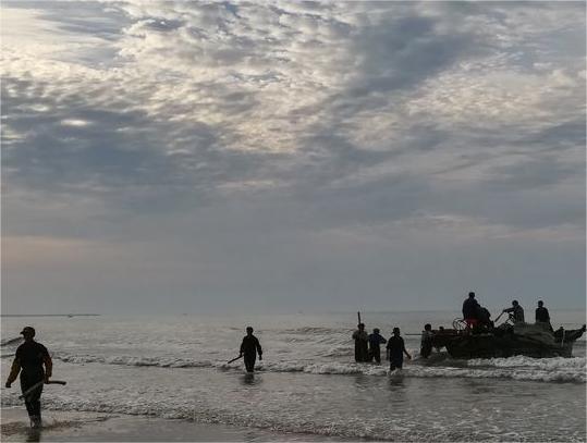 1661847698136354.jpg 拉大网3.jpg