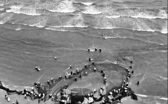 1661847738854439.jpeg 拉大网.jpeg