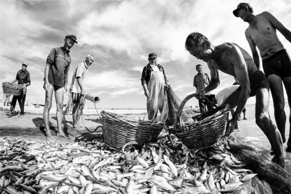 1661847776149105.jpg 拉大网7(1).jpg