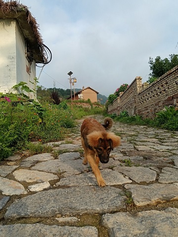 1661930478428854.jpg 微信图片_20220831150629.jpg