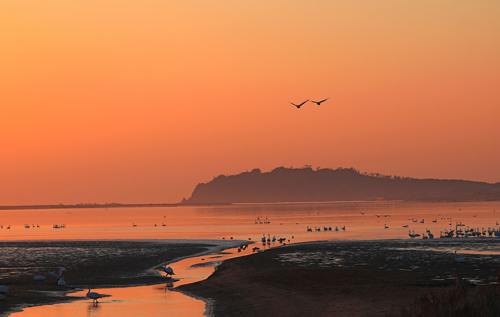 1662945283312841.jpg 《晨曦》胡英丽13181895999_副本.jpg