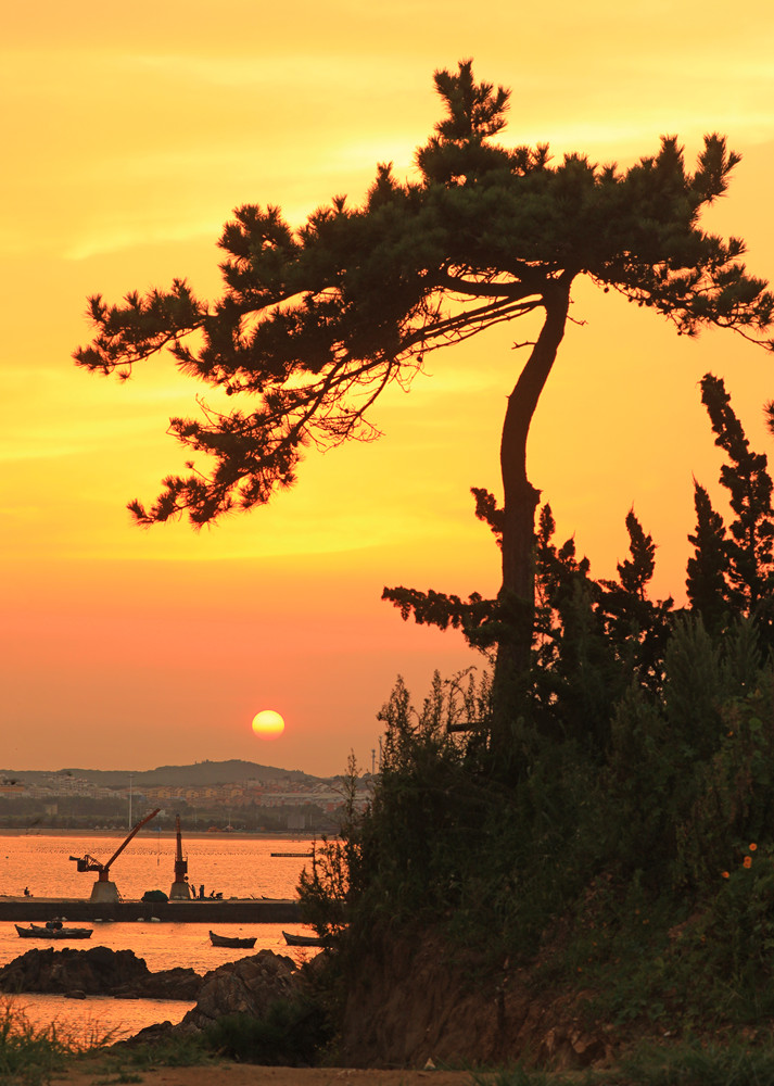 1662945431603563.jpg 《迎客松》胡英丽13181895999_副本.jpg