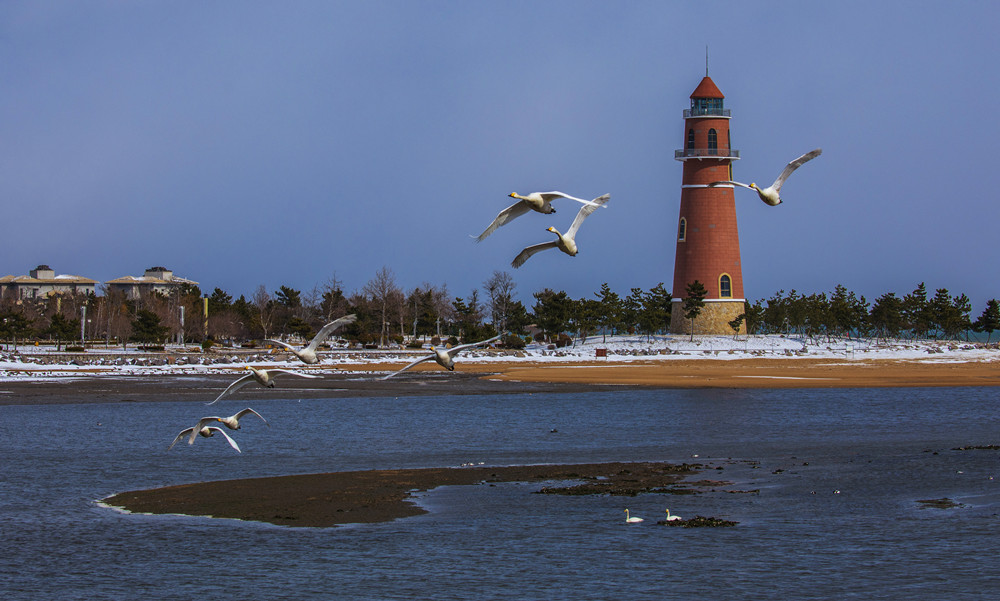 1662945731179055.jpg 《鹄飞灯塔图》胡英丽_副本.jpg