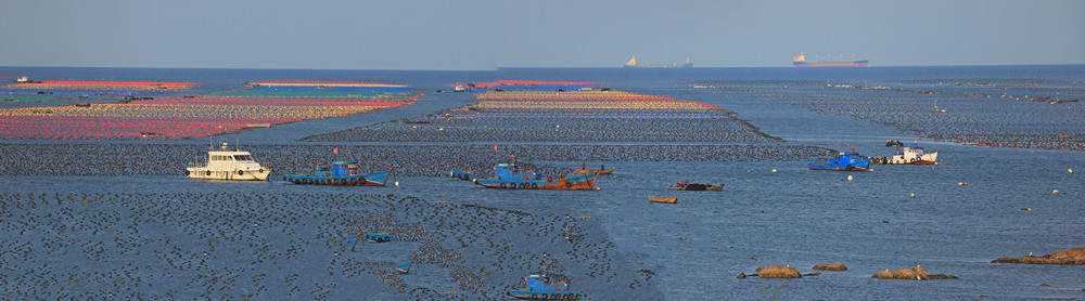 1662946125137185.jpg 《向海而生因海而兴》胡英丽13181895999-2_副本.jpg