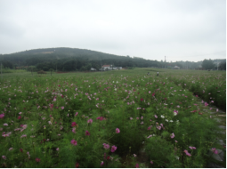 WeChat Image_20220927114924.png