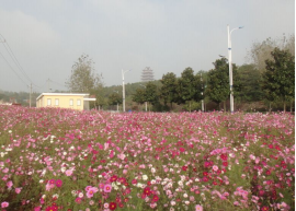 WeChat Image_20220927114942.png