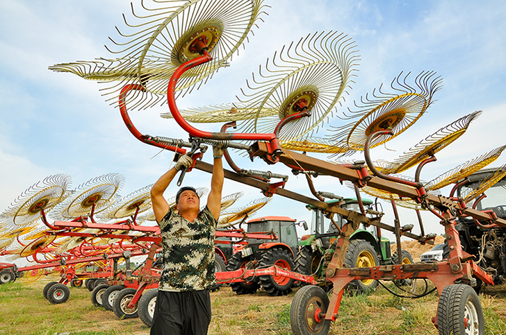 《麦收》摄影李文萍13705525255拍于蚌埠怀远常坟大河湾麦收现场 (2).jpg