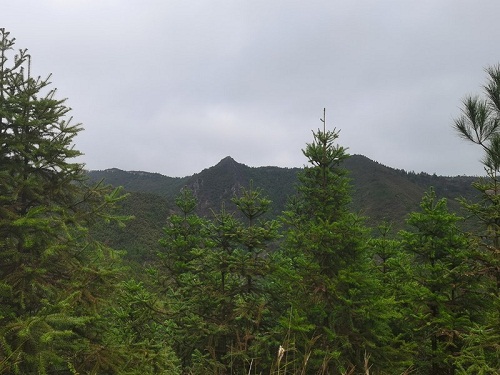 1668990746130558.jpg 5.jpg