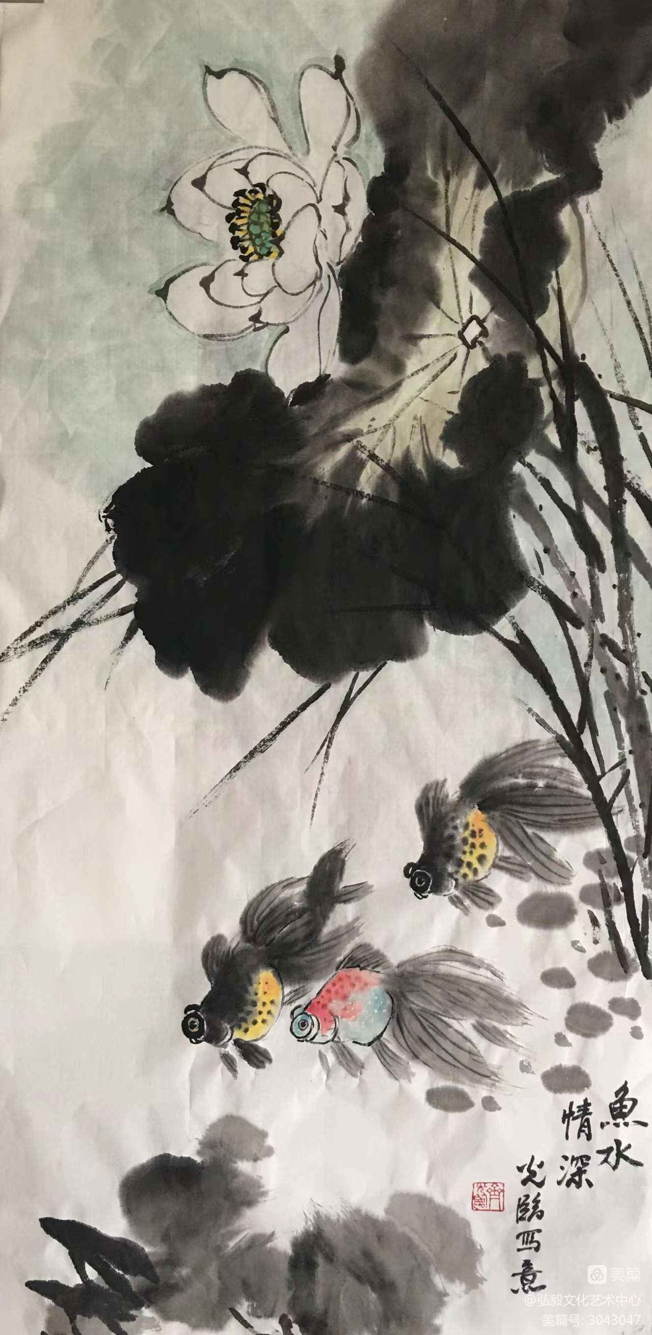 1673445457448305.jpg 3.jpg